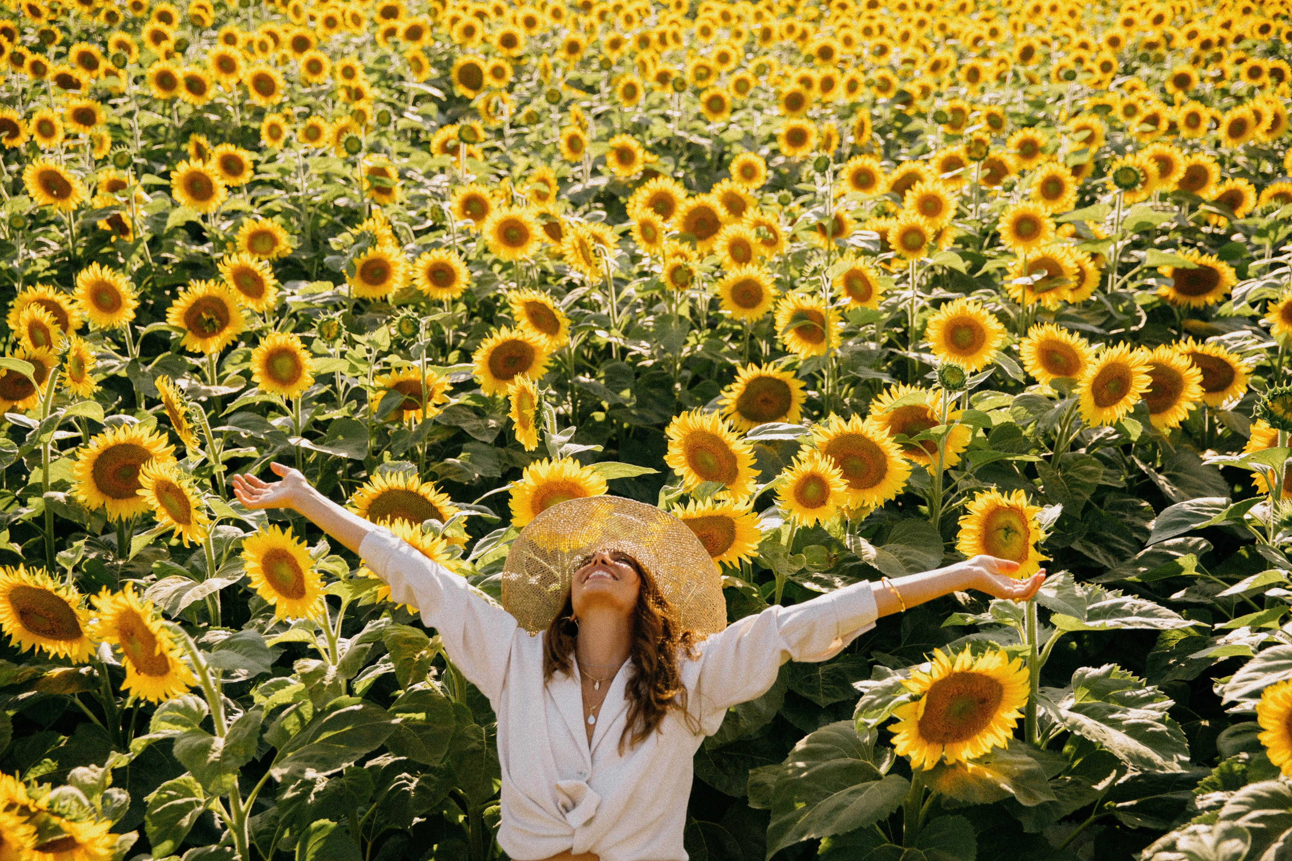sunflower woman